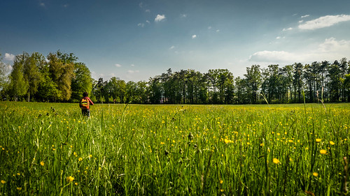 walk in the park | by sonyalpha7II