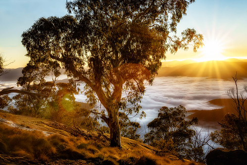 fog clouds sunrise landscape outdoors bright australia highcountry a7ii northeastvictoria mtbuffalo