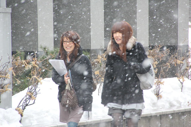 札幌に降る雪