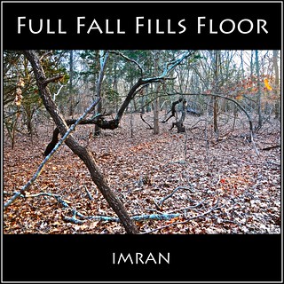 Full Fall Fills Floor Of Forest Under Falling Sun - IMRAN™ -- 1200+ Views! Explored!