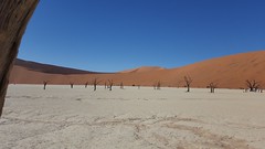 Namibia_2016_0405