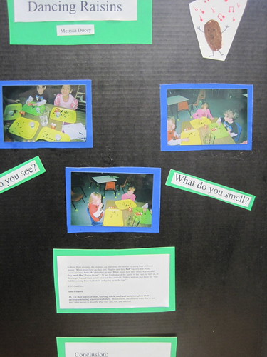 Creative Science Project | by dgmurphy2002