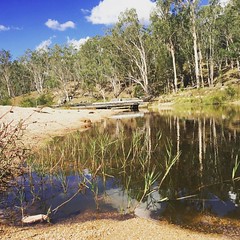 There are some beautiful #nationalpark around our area in #australia #nnsw #forest #naturelovers #reflection #peaceful #place