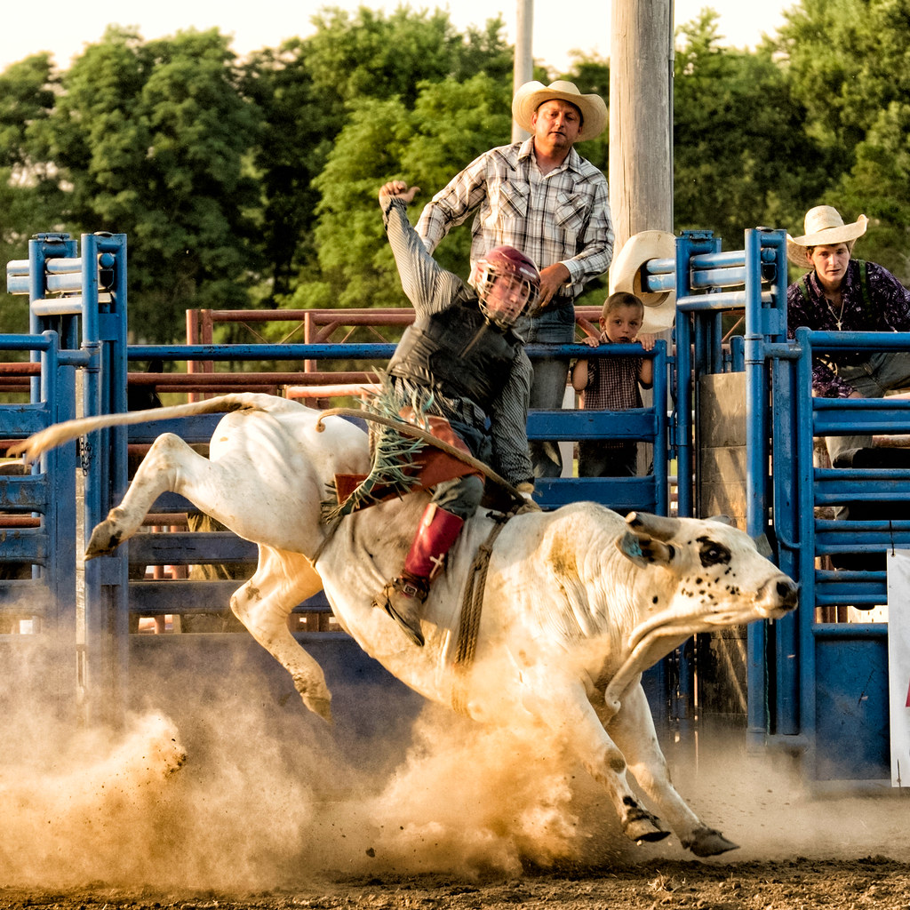 Rodeo 2016 - Bull riders 3 | John Hagar | Flickr
