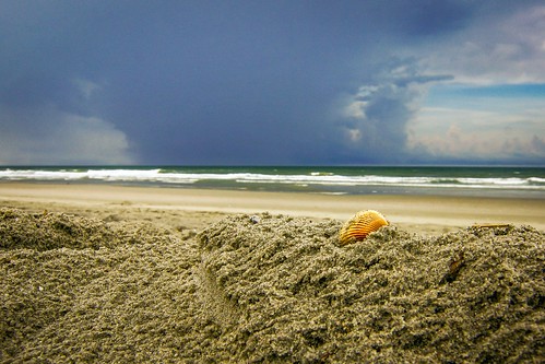 ocean beach lifeguard seashell thunderstorm