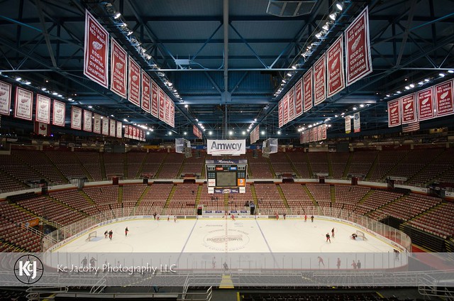 Joe Louis Arena - Home of the Detroit Red Wings