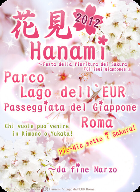 IMMAGINE 花見 Hanami 2012 ～ Lago dell'EUR Roma