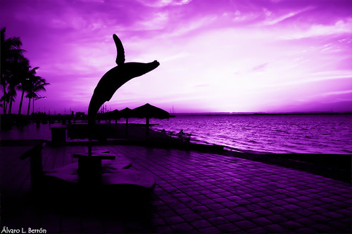 sunset silhouette méxico mexico atardecer malecon boardwalk bajacaliforniasur silueta lapaz malecón lapazbajacaliforniasur tumblr alberron