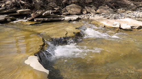Holts Creek Foster, Ky., creek stream kentucky kybassman holtscreek fosterkentucky