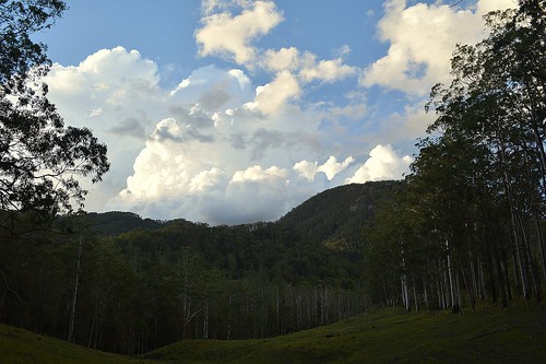 trees sky storm clouds forest countryside cloudscape mounternest loganvalley mountbarneynationalpark floodedgums