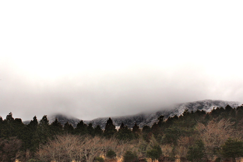 冬の天城山