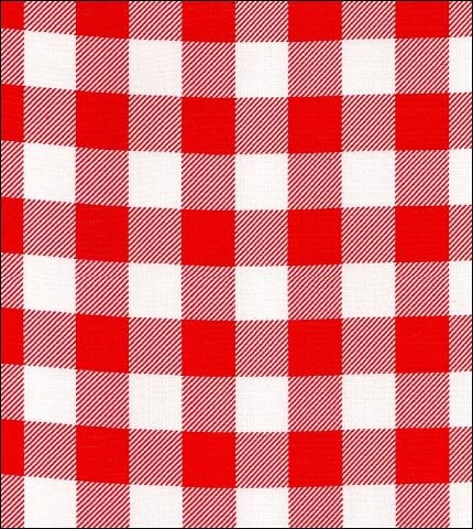 Freckled Sage Red Large Gingham | Oilcloth | Anna Marino | Flickr