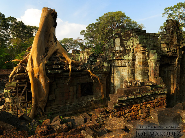 Ruins at Ankgor Wat
