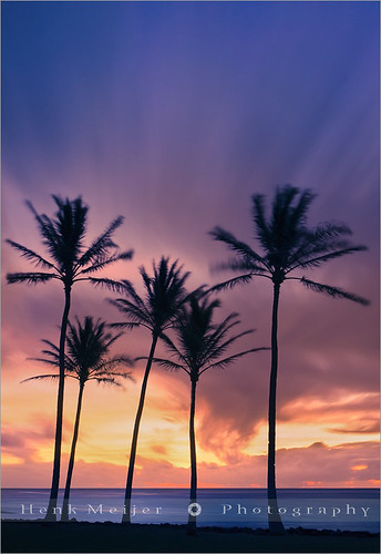 ocean park longexposure trees light sea vacation usa tree beach water clouds america sunrise canon palms landscape lights hawaii morninglight moving long exposure waves view pacific postcard palm palmtrees kauai postcards viewpoint meijer henk kapaa holdiday floydian proframe proframephotography canoneos1dsmarkiii henkmeijer