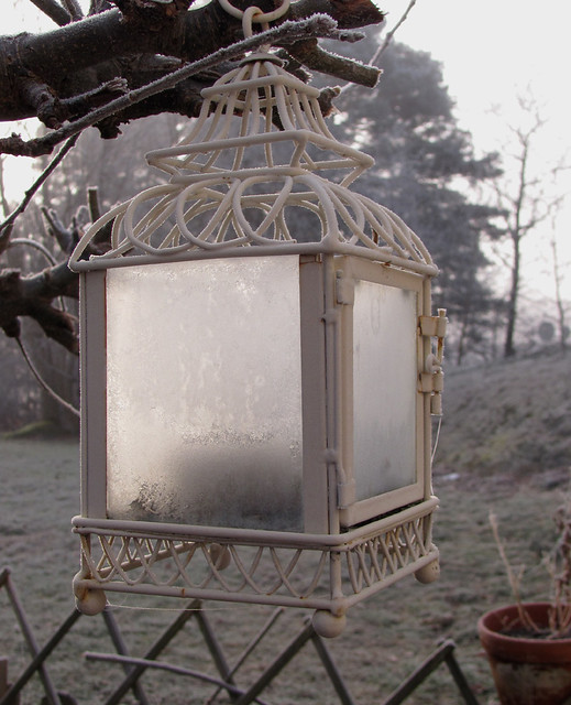 the frosty lamp