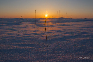 Winter Image from Kugluktuk, Nunavut