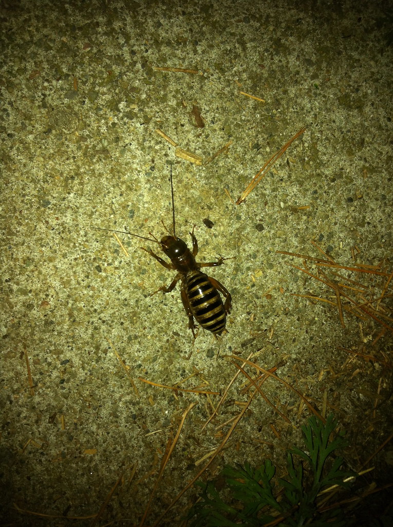Huge Freaking Bug!