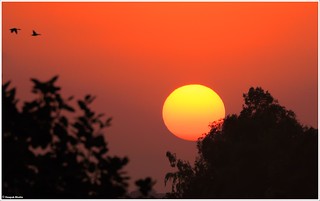 Sunset @ Delhi