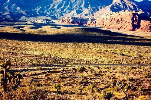 california horses panorama usa mountains america landscape view desert lasvegas nevada mojave mojavedesert horseride