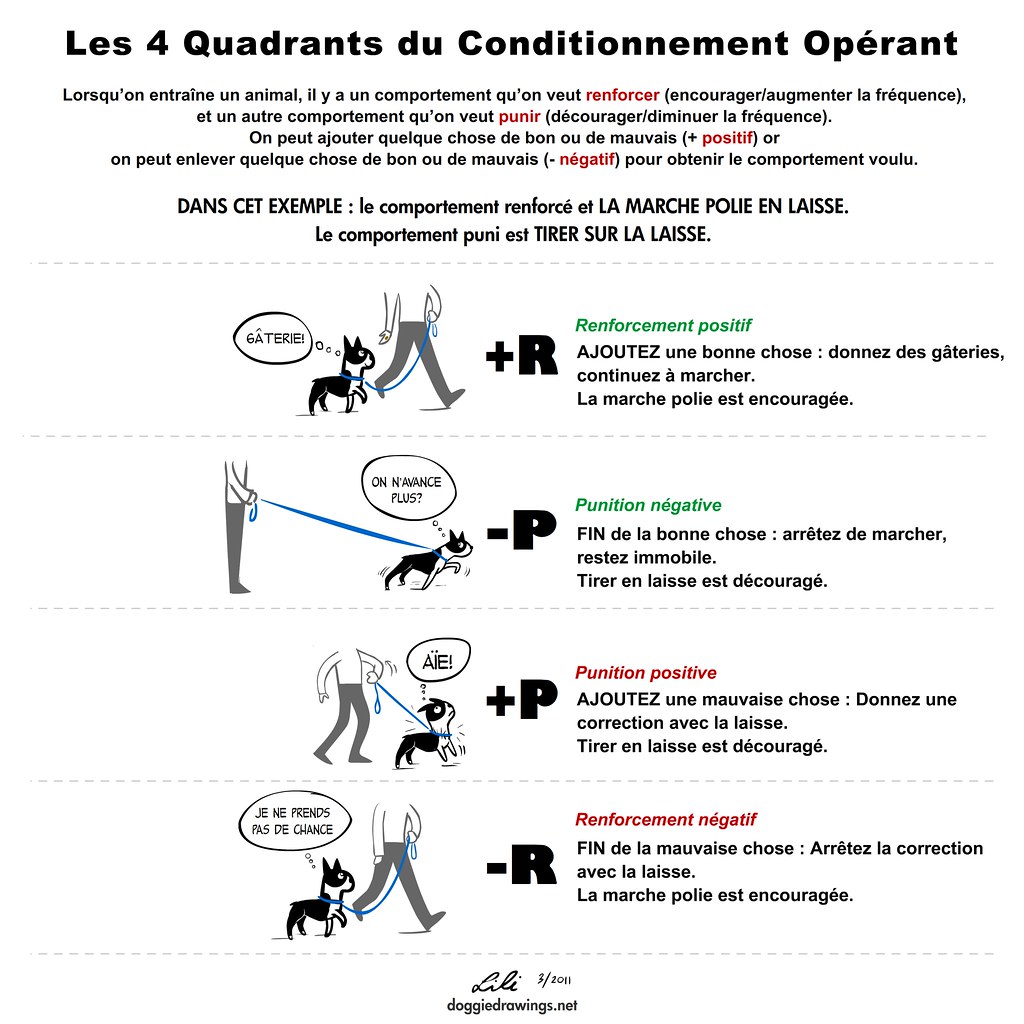 The 4 Quadrants of Operant Conditioning - FRENCH VERSION | Flickr