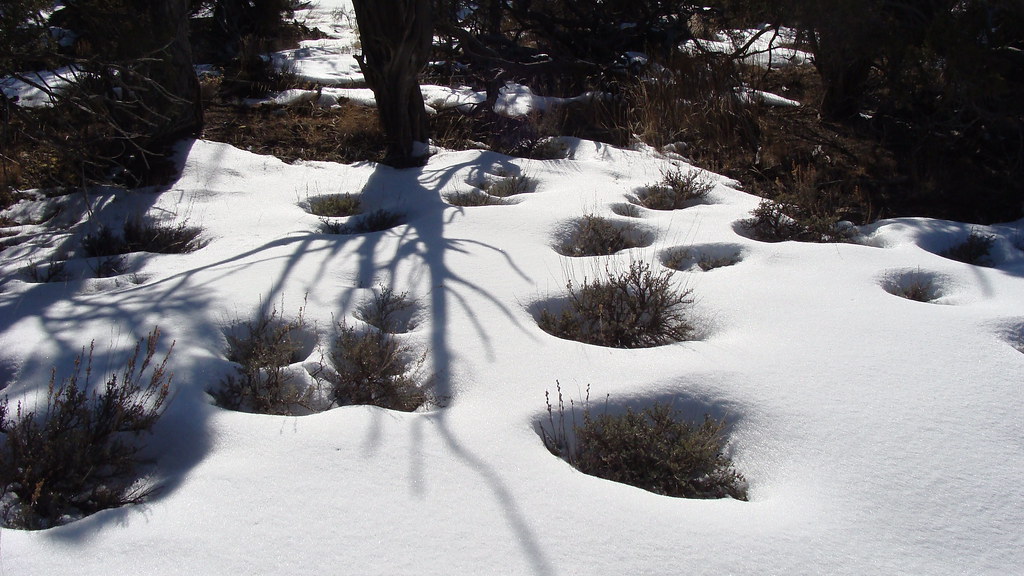 Liberty Cap Trail
