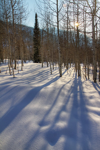 trees winter sunset sun snow long shadows blanket aspens sunburst littlecottonwoodcanyon