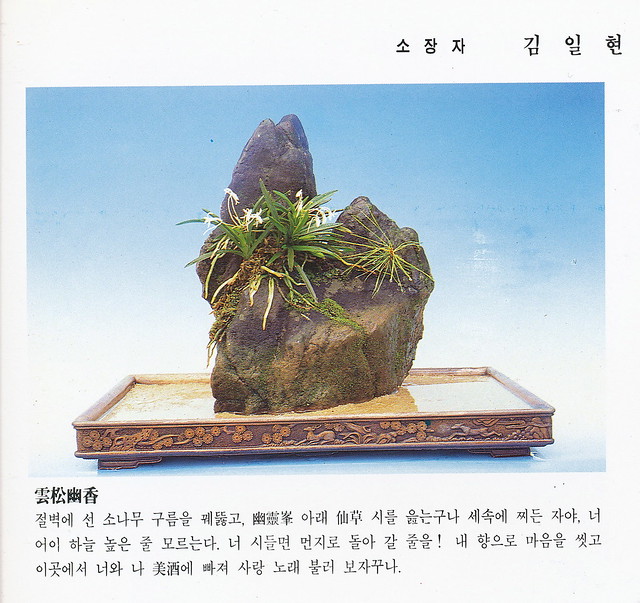 Korean Neofinetia mounts
