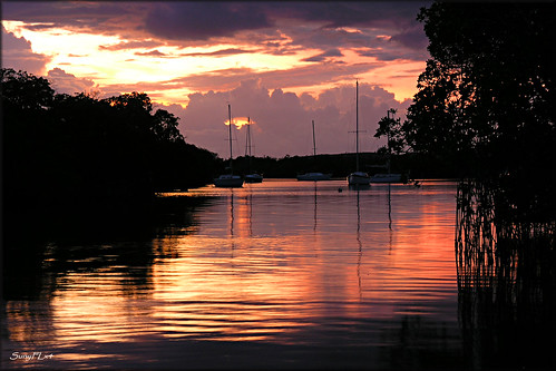 light sunset sky sunlight reflection water clouds boats island golden bay puertorico sailboats mangroves laparguera