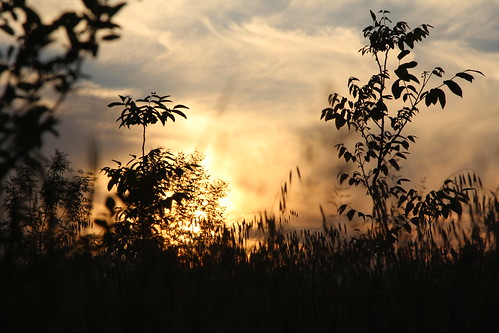 sunset shadow summer cloud sun colors sunshine sunrise canon eos ngc shining 600d 24105l flickrandroidapp:filter=none