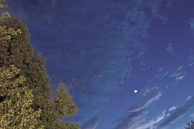 Venus, Moon, Jupiter_Mar 25_2012_Framed by Trees