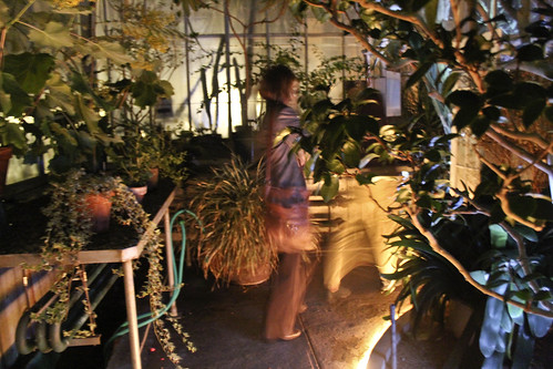 Greenhouse Lightshow 2012