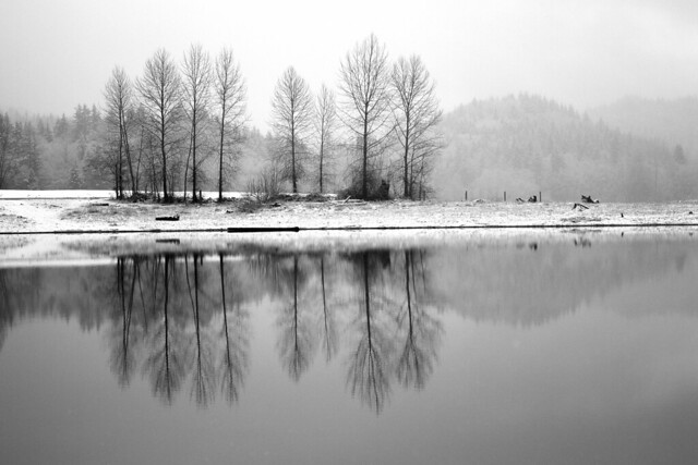 Mid-winter in Alder Lake Park