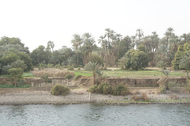 A Nile Island in Aswan
