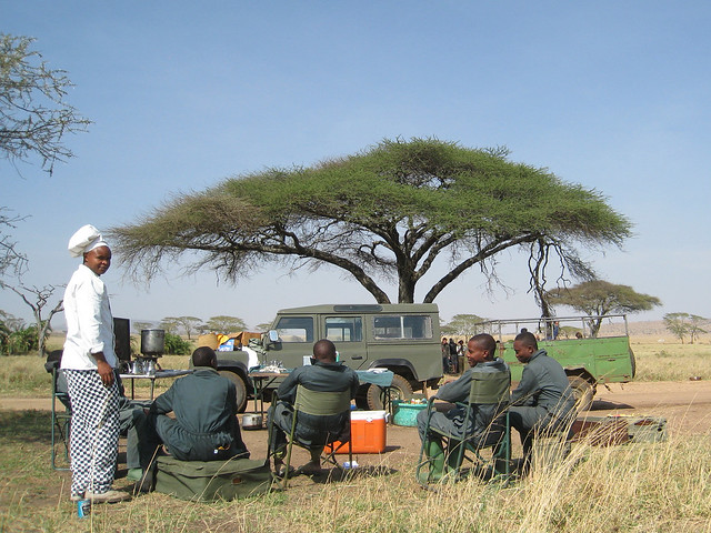 Breakfast On the Savanna Plains of the Serengeti National Park Tanzania