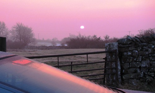 pink sky sun mist tree window fog wall sunrise dawn volvo gate frost s60