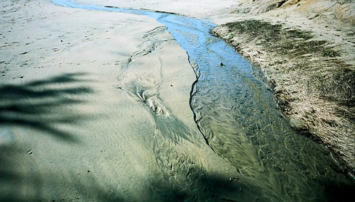 Gray Whale Cove 02 | by Michael Fraley