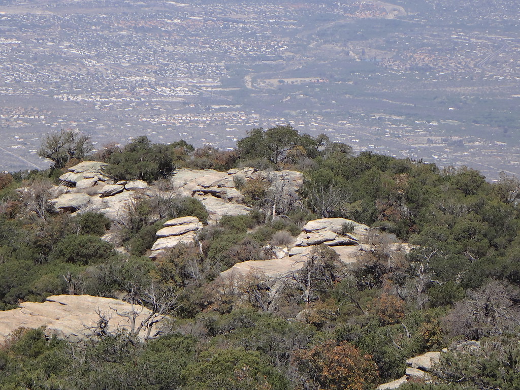 Tanque Verde Ridge Trail