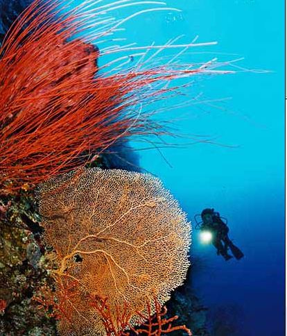 MIcronesia - Palau