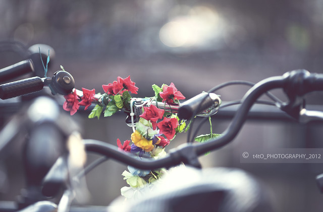 Utrecht - A bike in love