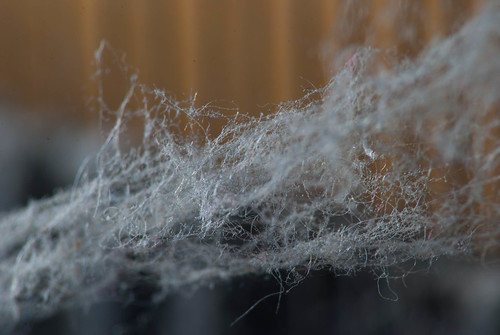 20130314-20130314-DSC_9270 | by Lonja Selter