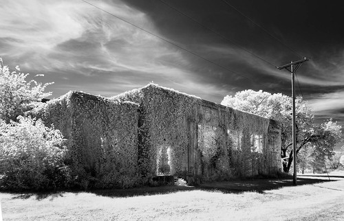 abandoned shadows wires sky trees infrared cloudsstormssunsetssunrises monochrome overgrowth utilitypole grass neglected vines weathered deterioration blackandwhite hss