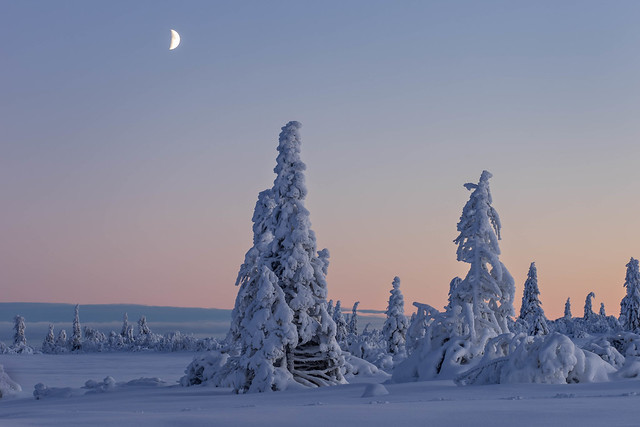 November evening in Lapland