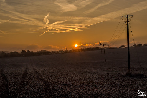winter frost morning sunrise sky telegraph poles field lines