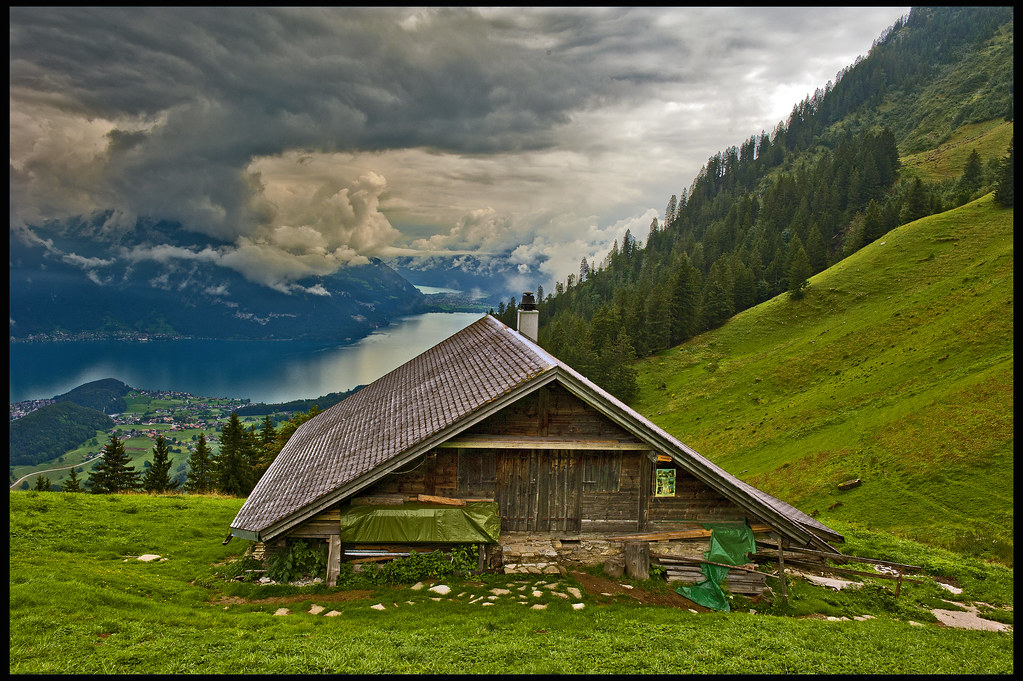 On the way to Niesen's Summit. Berner Oberland. No. 8788,