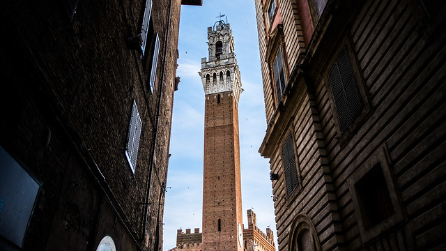 Torre del Mangia - Siena, Italy - Travel photography