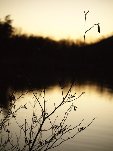 Sunset by daveelmore, SOOC | Lumix/Leica DG Macro-Elmarit 45mm 1:2.8

<a href="http://bighugelabs.com/onblack.php?id=69409