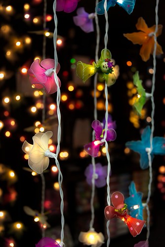 Untitled | by Dipen Dhruv