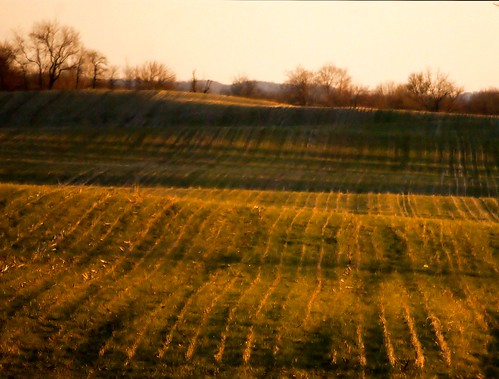 winter ohio field lines march backyard shadows view farm sony alpha 2012 topography a230 fairfieldcounty ruralohio stoutsville