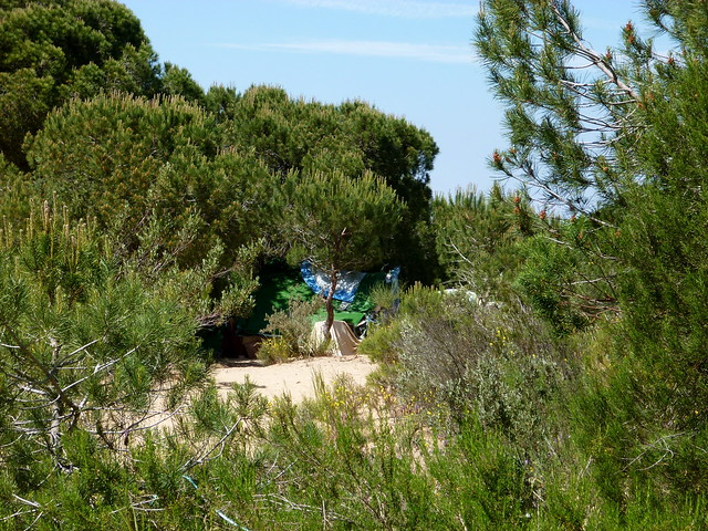 Okupas en el entorno de Doñana