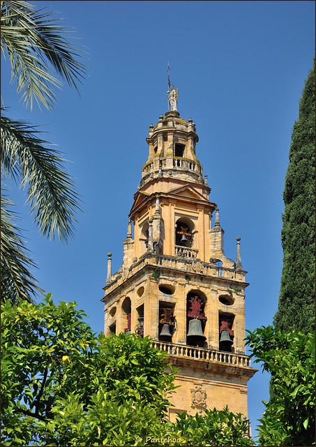 Córdoba : Torre de la Mezquita